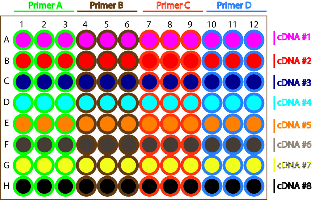 Control your error! How to minimize pipetting error and get low SDs in qRT-PCR