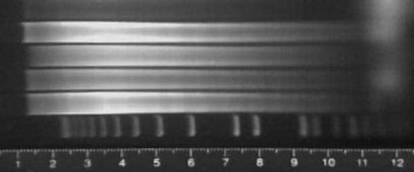 Southern (blot) exposure remains a useful technique