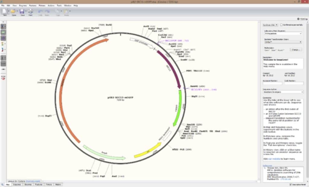 snapgene viewer vs vectornti