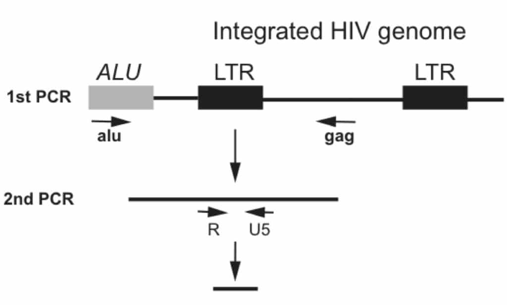 How to Quantify Integrated HIV Genomes Using Alu-gag PCR