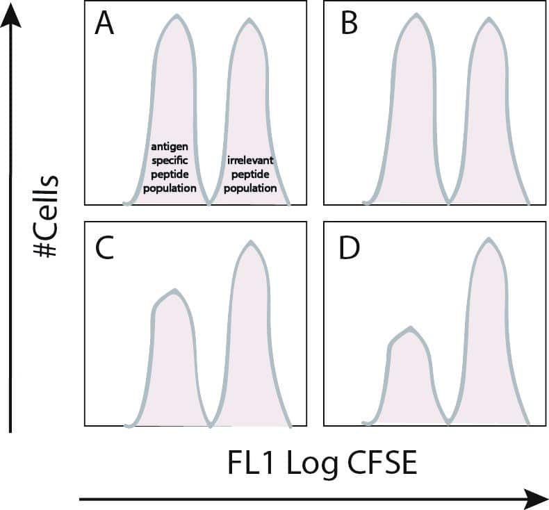 A Simple Way to Measure T cell Killing Activity In Vivo