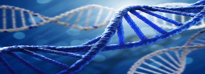 Genomics_&_Epigenetics
