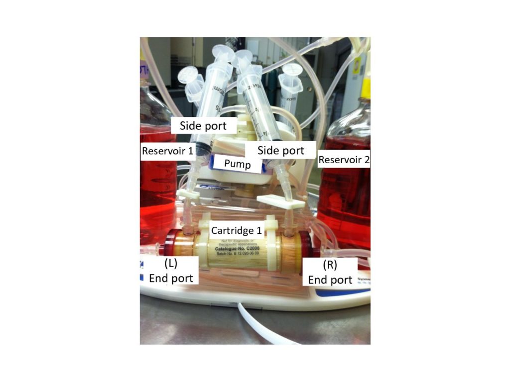 Harvest Large Quantities of Secreted Protein with Hollow Fiber Bioreactors