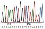 Sanger Sequencing: How the Genome Was Won
