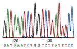 Sanger Sequencing: How the Genome Was Won