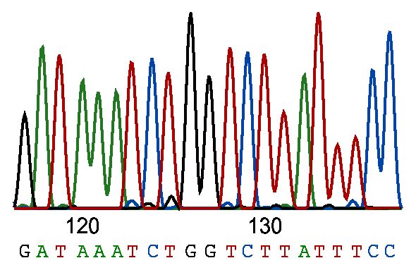 mild websted følelse Sanger Sequencing: How the Genome Was Won