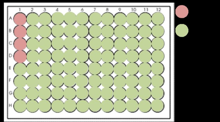 Three Steps For Setting Up A Drug Screening Assay Bitesize Bio