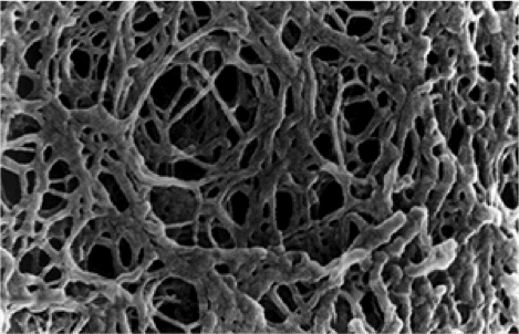 Gel Filtration Chromatography Media: What You Need to Know