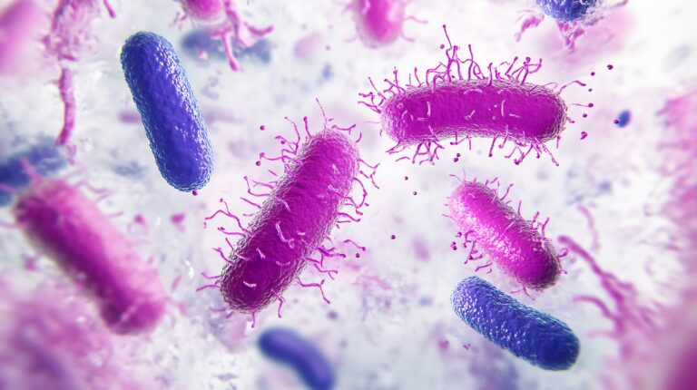 Go For Gram! Staining Bacteria for Light Microscopy