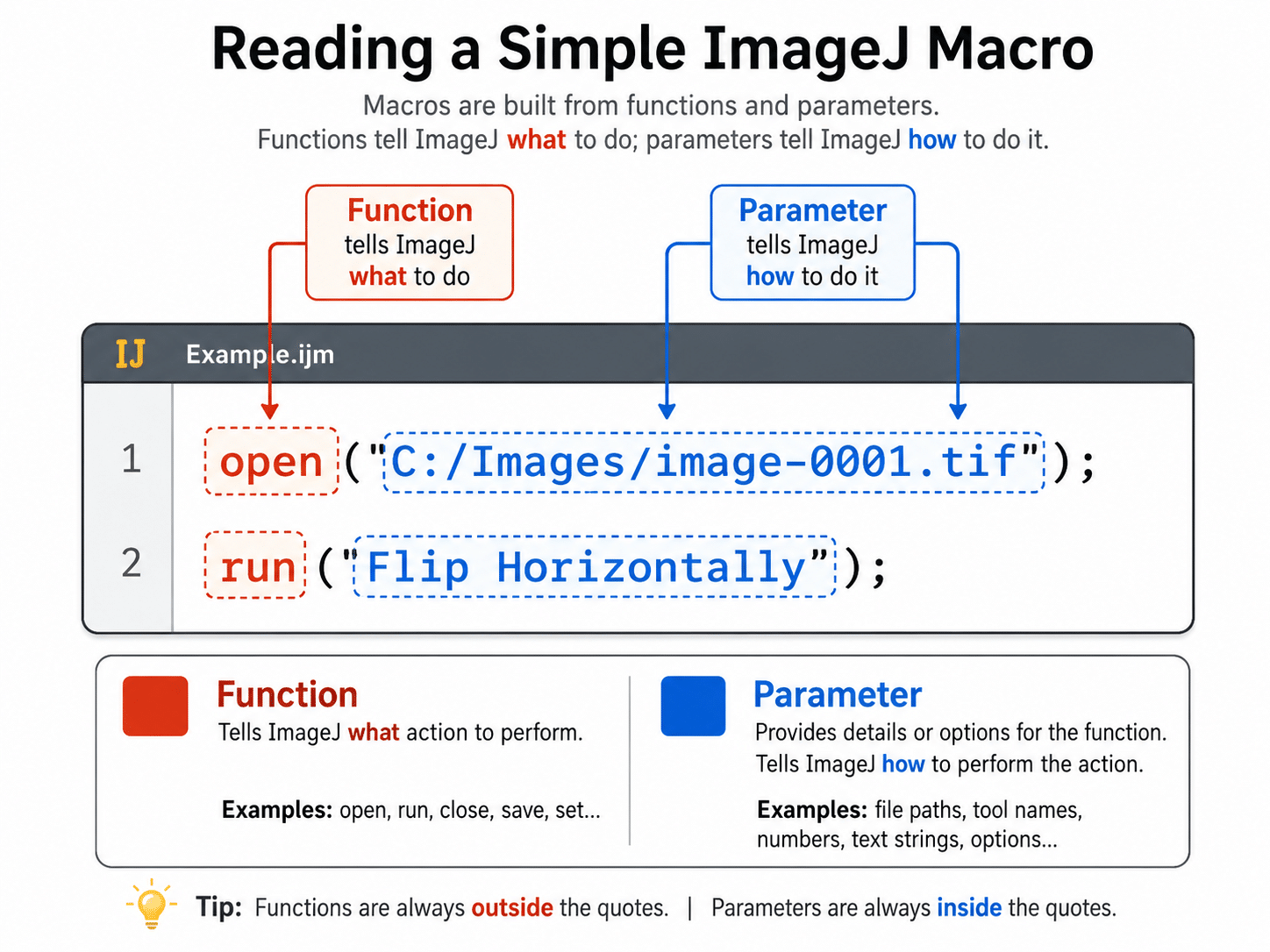How to Start Using Coding to Automate Image Analysis