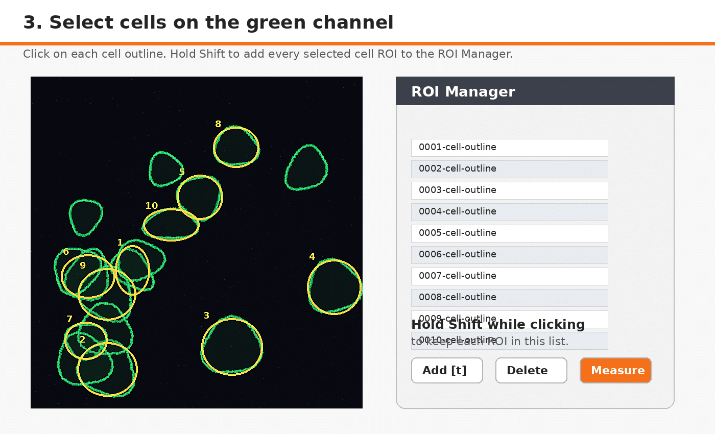A Simple Method for Measuring Intracellular Fluorescence