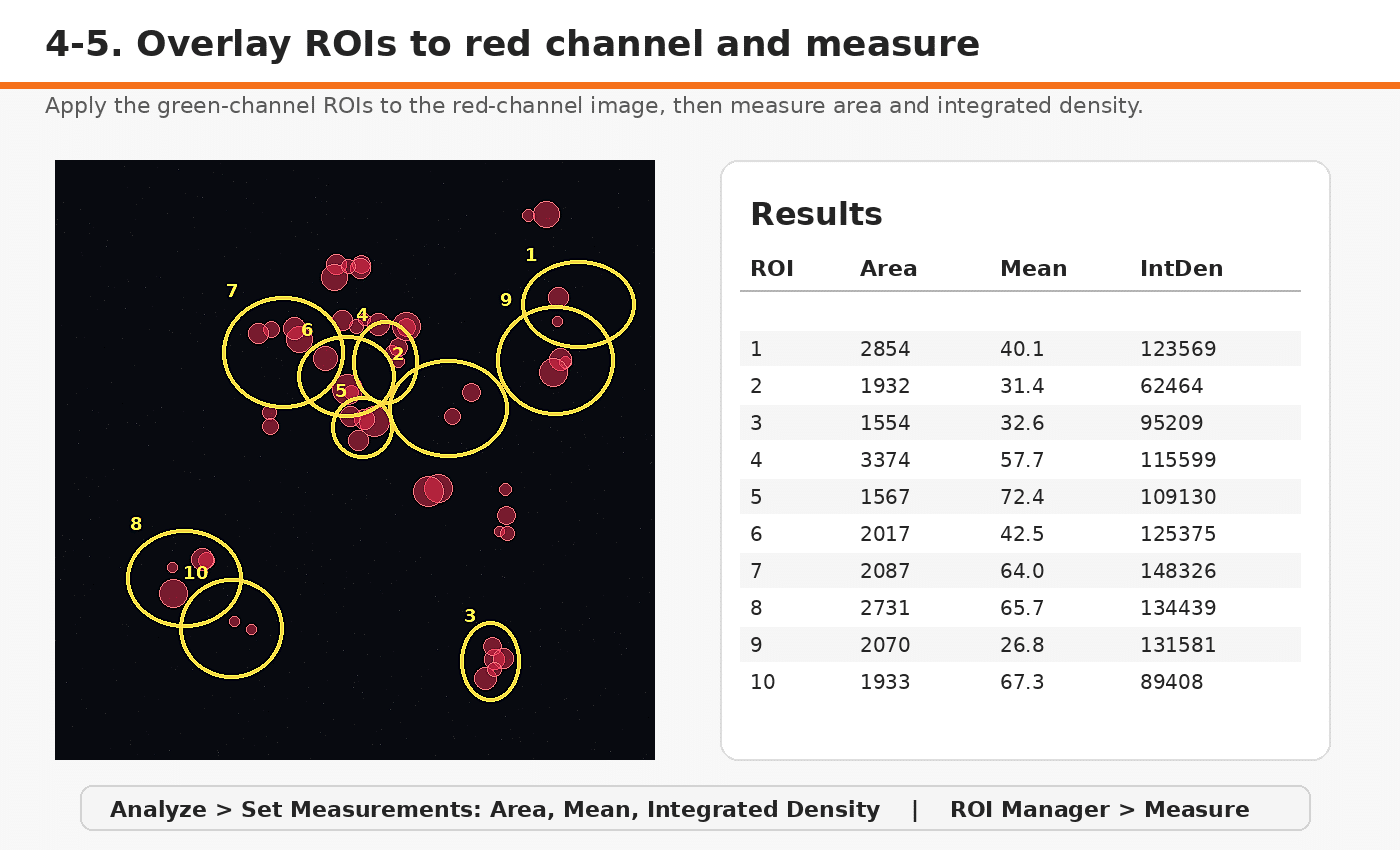 A Simple Method for Measuring Intracellular Fluorescence