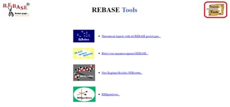 Demystifying REBASE and NEBcutter