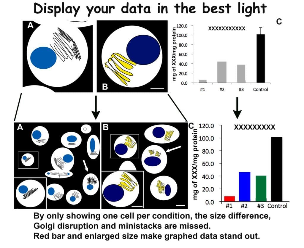 The Art and Science of Figure Creation: Think <font size=6>BIG </font>to see <font size=4>Small</font>