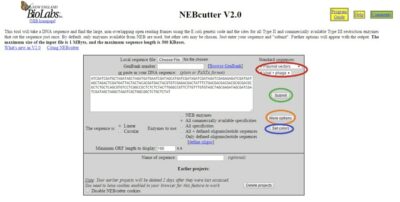 Demystifying REBASE and NEBcutter