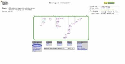 Demystifying REBASE and NEBcutter