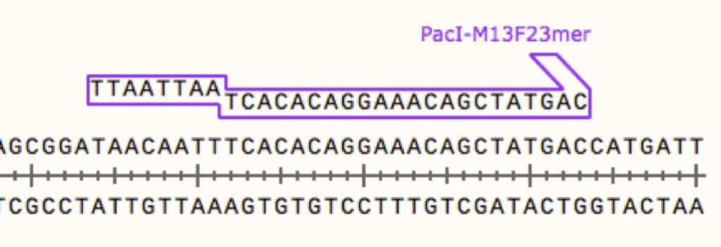 cloning-fig-5