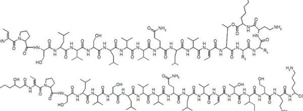 metabolomics