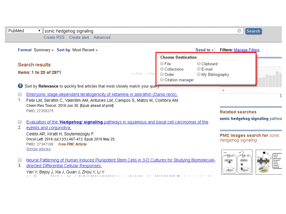 Search results for scientific articles