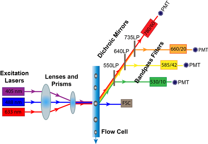 Demystifying The Flow Cytometry Optics System A Peek Under The Hood