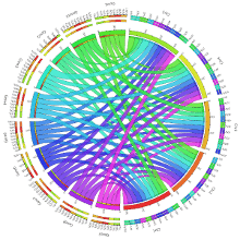 Genomics software output