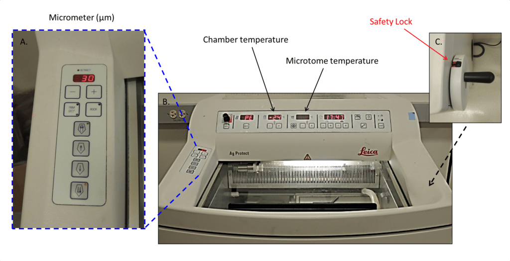 figure1finalcryobitesizebio