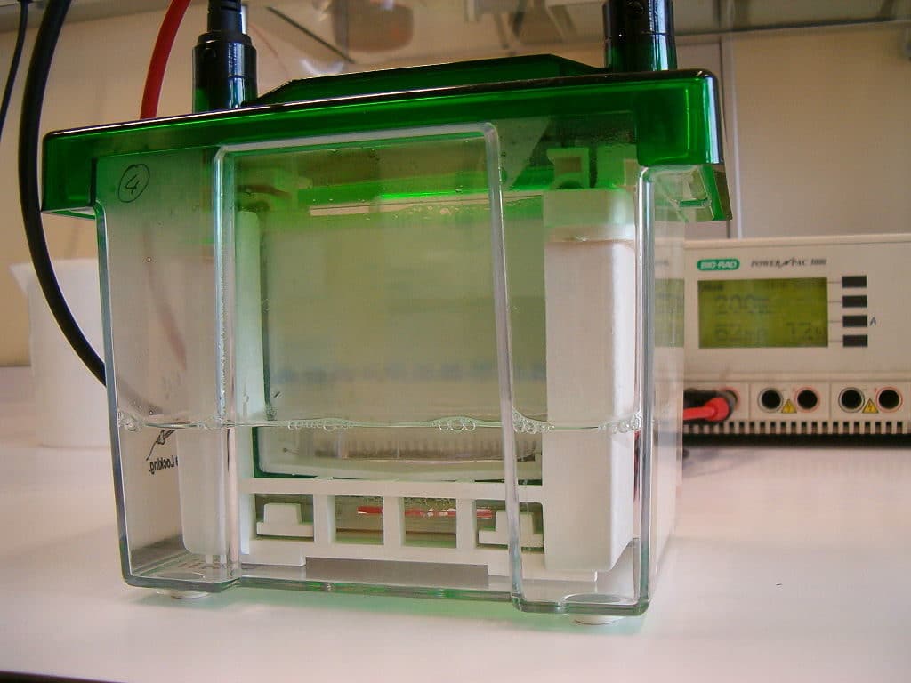 Bis-Tris Running Buffer 20X, Electrophoresis and Blotting Buffers