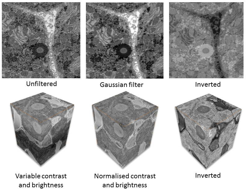 Data Analysis for Three-dimensional Volume Scanning Electron Microscopy