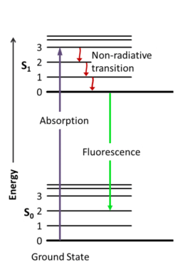 How FRET Works: A Guide to Visualizing Protein Interactions