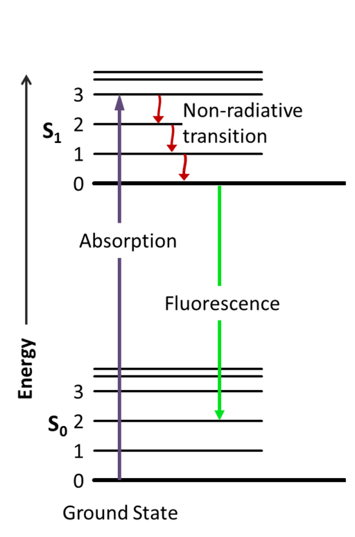 How Fluorescent Molecules Work