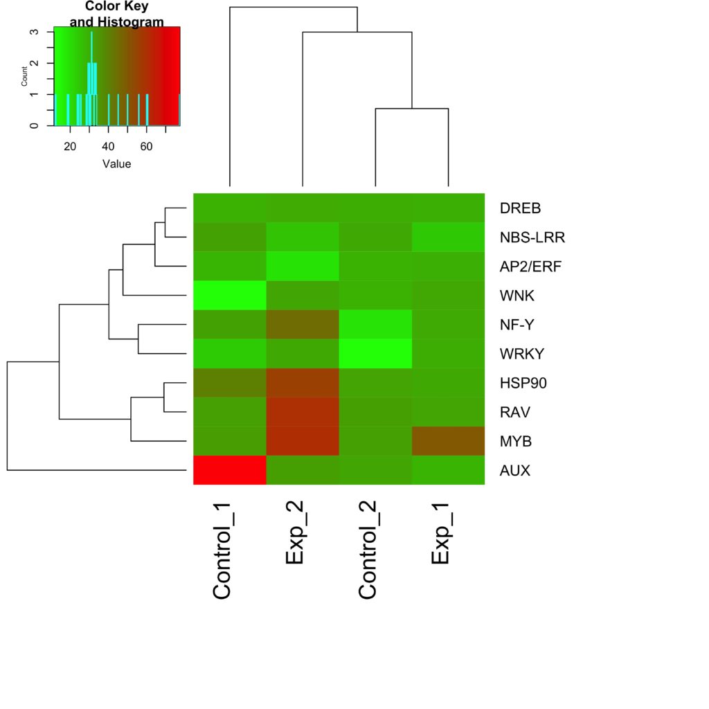 Gene Expression Heat Map