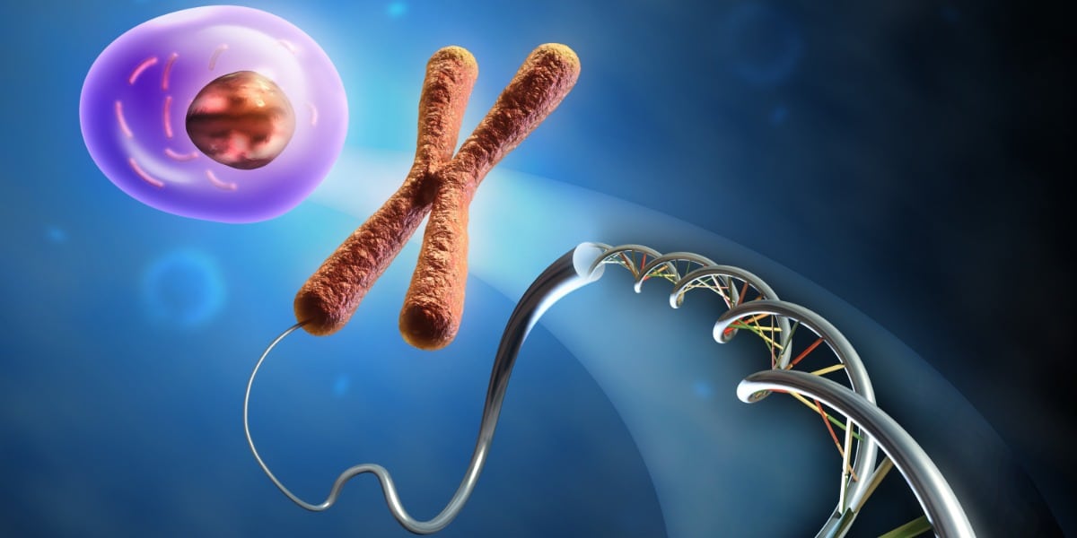 Chromosome Analysis by Flow Cytometry