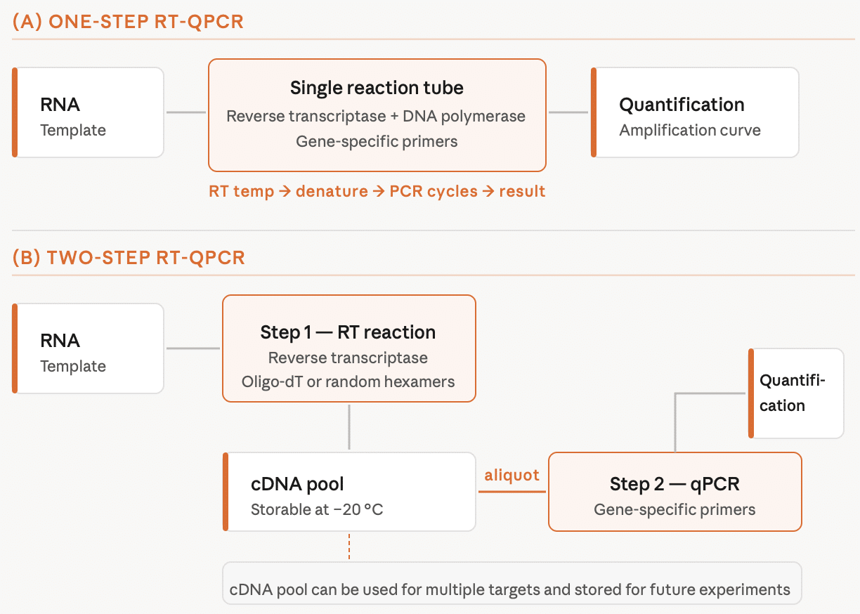 One stage and two stage qPCR