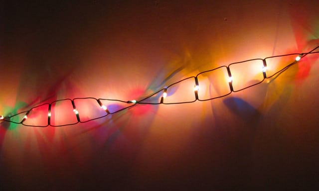 Intercalating Dyes or Fluorescent Probes For RT-qPCR?