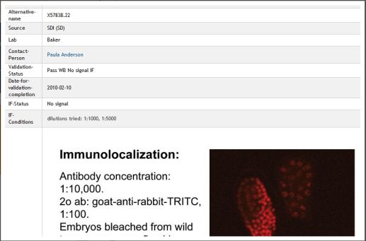 How to manage scientific data: Electronic lab notebooks compared with Google Docs and wikis