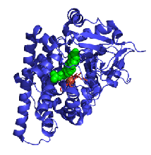 Step By Step Instructions For Protein Modeling Bitesize Bio