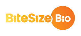 bitesize-bio-rgb-logo