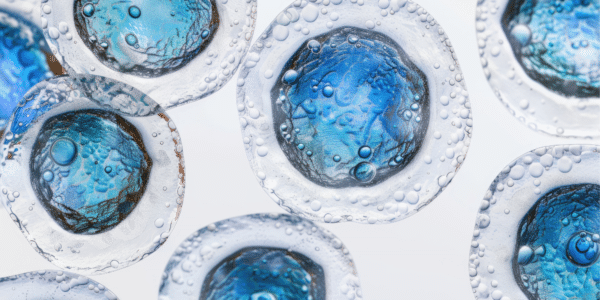 Blue cells with transparent membranes
