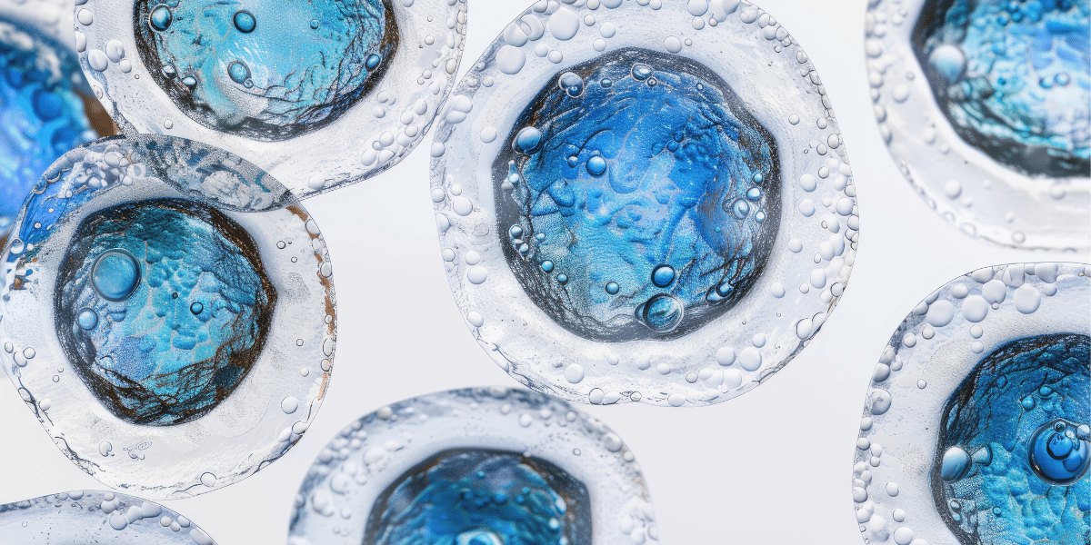 Blue cells with transparent membranes