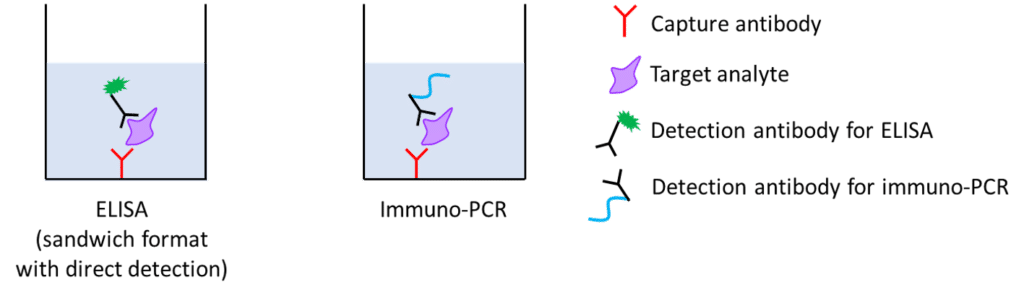 Immuno-PCR, immunodetection, PCR, ELISA, detection assay