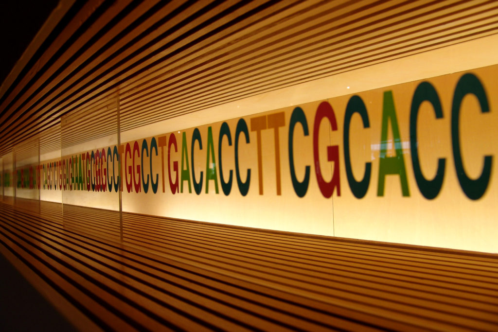 DNA sequence MLPA