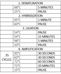 Amplification de sondes multiplexées dépendantes de la ligature (MLPA)