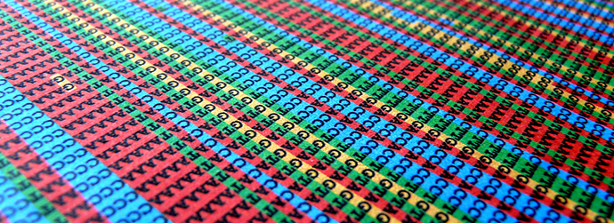 DNA sequence