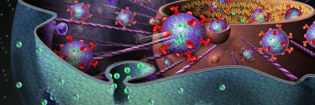 Scientific Illustrations Part II: Molecular Graphics and Animation