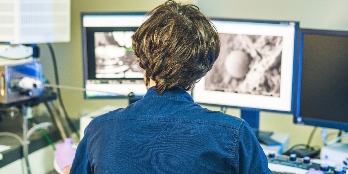 Researcher analyzing electrom microscopy images highlighting two methods of fixation for electron microscopy