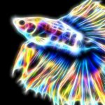 A fluorescent fish as a pun on in situ hybridization