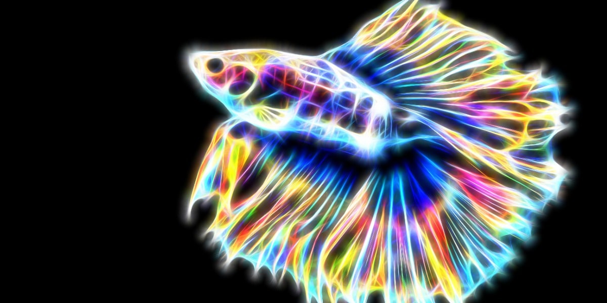 A fluorescent fish as a pun on in situ hybridization