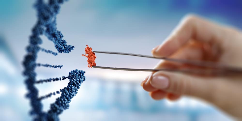 How to scale up a PCR reaction