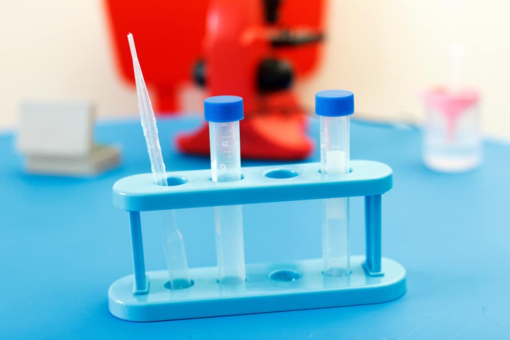 Electrophoretic mobility shift assay (EMSA) showing the association