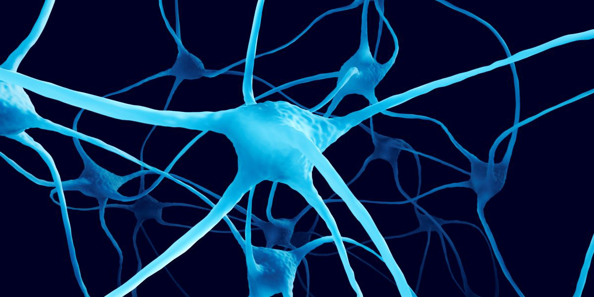 Neurons, showing how Single Molecule Counting can be used for detection of Huntingtin protein for Huntington’s disease